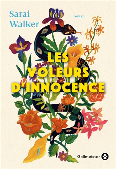 voleurs