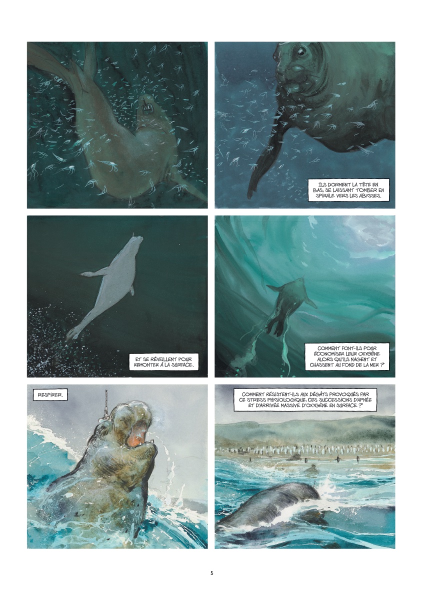 Danser avec le vent2